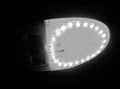 Logisys White 12 inch 12Volt Waterproof LED Strip # LDS12WT - Coolerguys