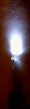 5mm White LED Bulb - Coolerguys